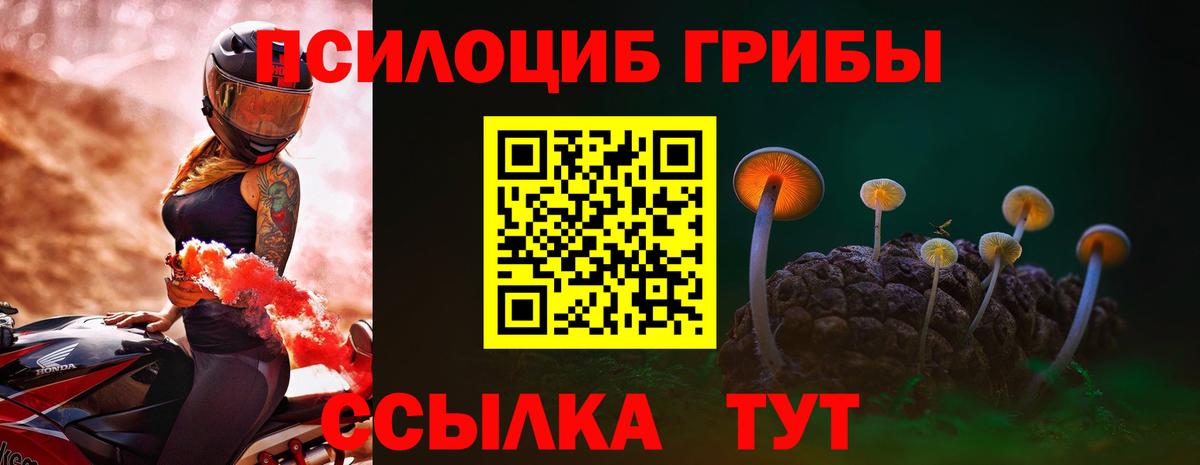 Галлюциногенные грибы Psilocybe Касимов